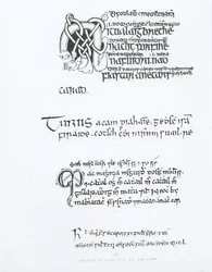Spécimens de manuscrits irlandais, vers 1300-1588